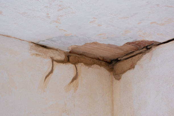 Best Flooded house restoration  in Florence, AZ