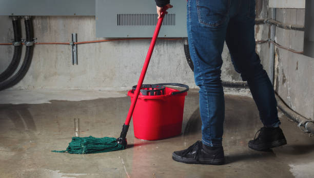 Best Water damage contractors near me  in Florence, AZ