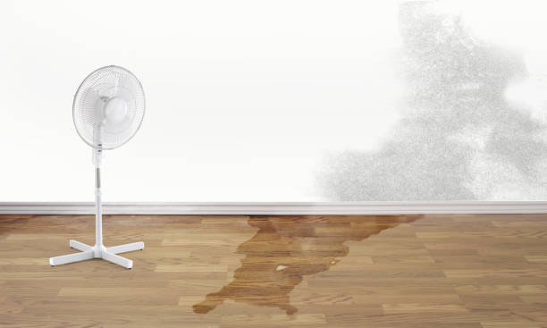 Best 24-hour water damage restoration  in Florence, AZ