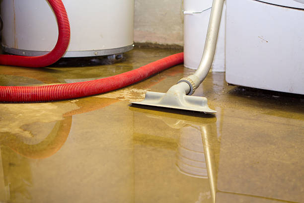 Best Flood restoration services  in Florence, AZ