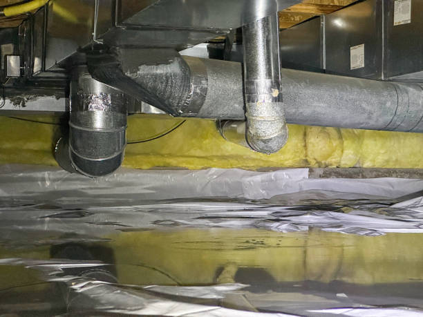 Best Mold removal after water damage  in Florence, AZ